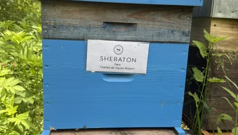 Ruche parrainée par Hôtel Sheraton Paris CDG